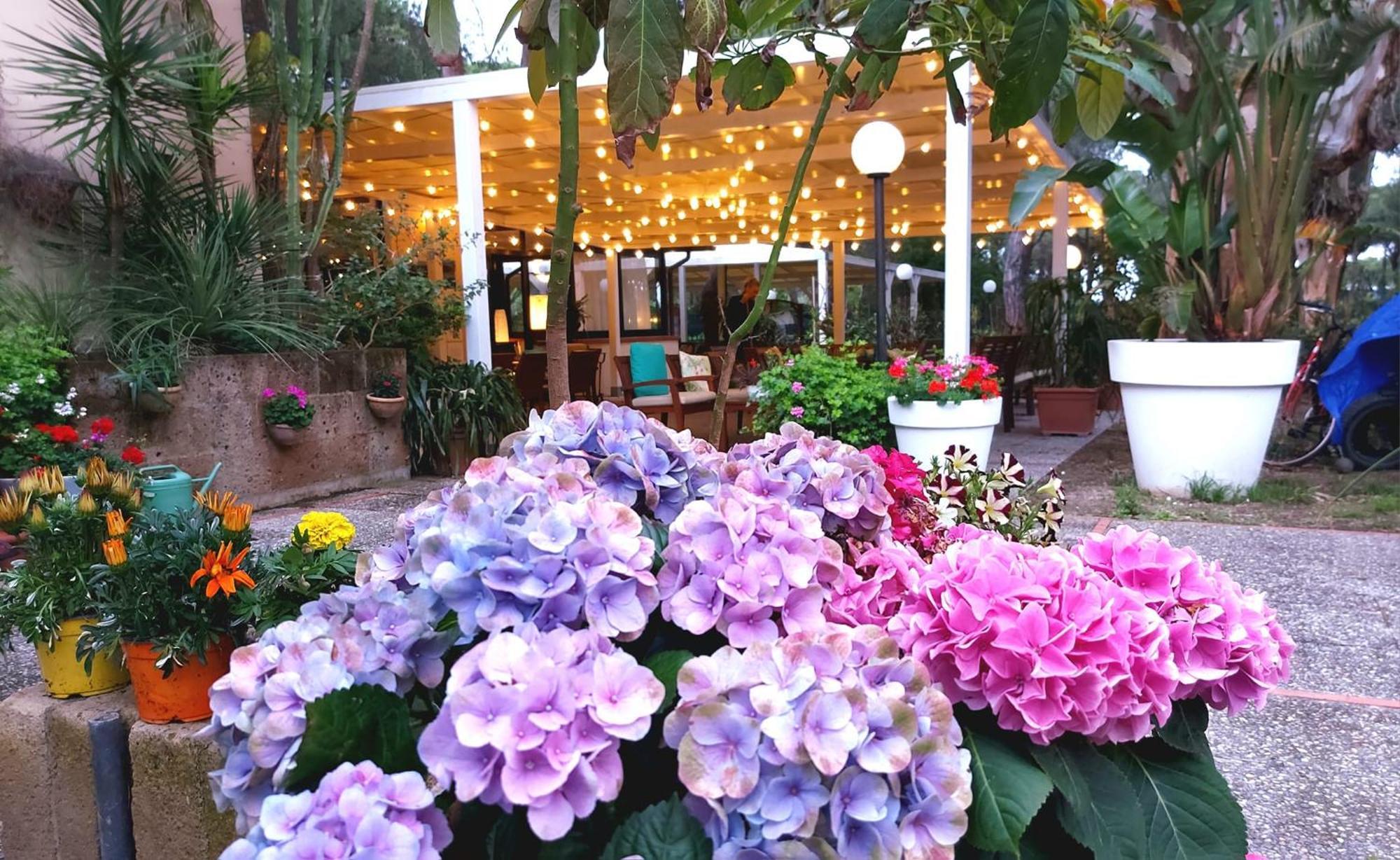 Hotel Giardino Capoliveri  Esterno foto